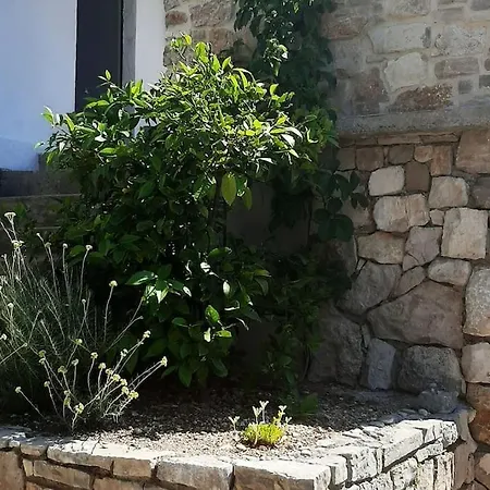House ,, Plavi Biser 